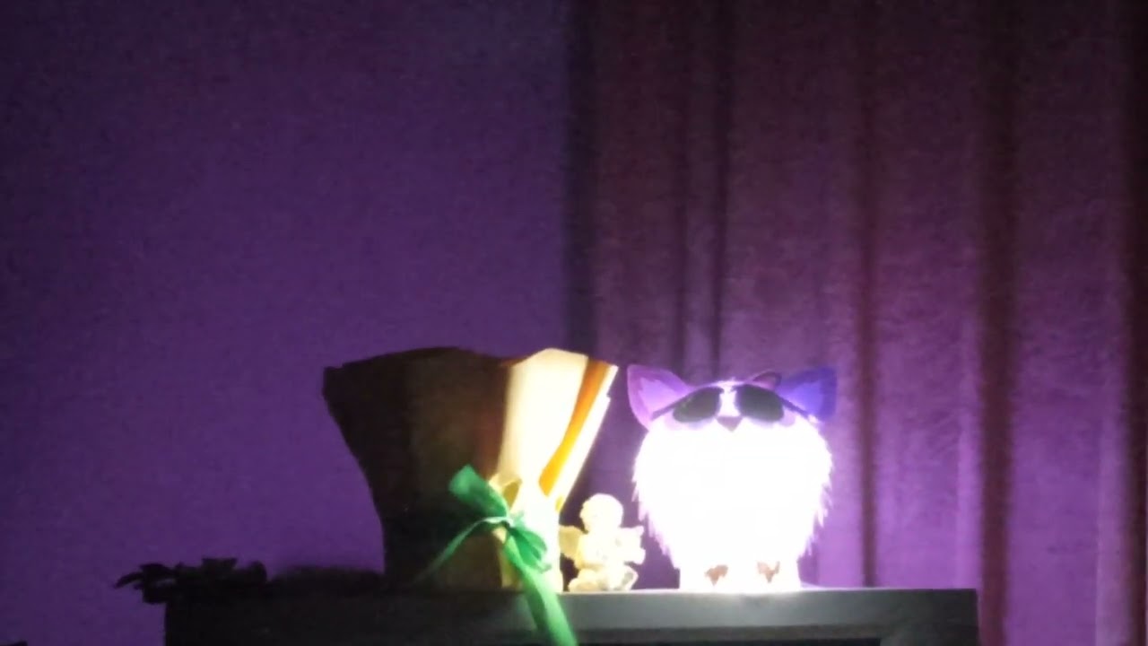 19