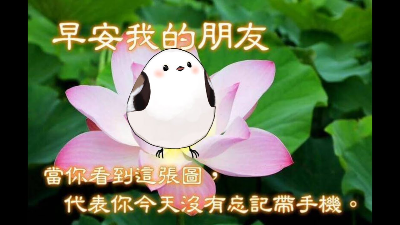 【早安您好】聽說早起的鳥兒有蟲吃！   #降落欢迎