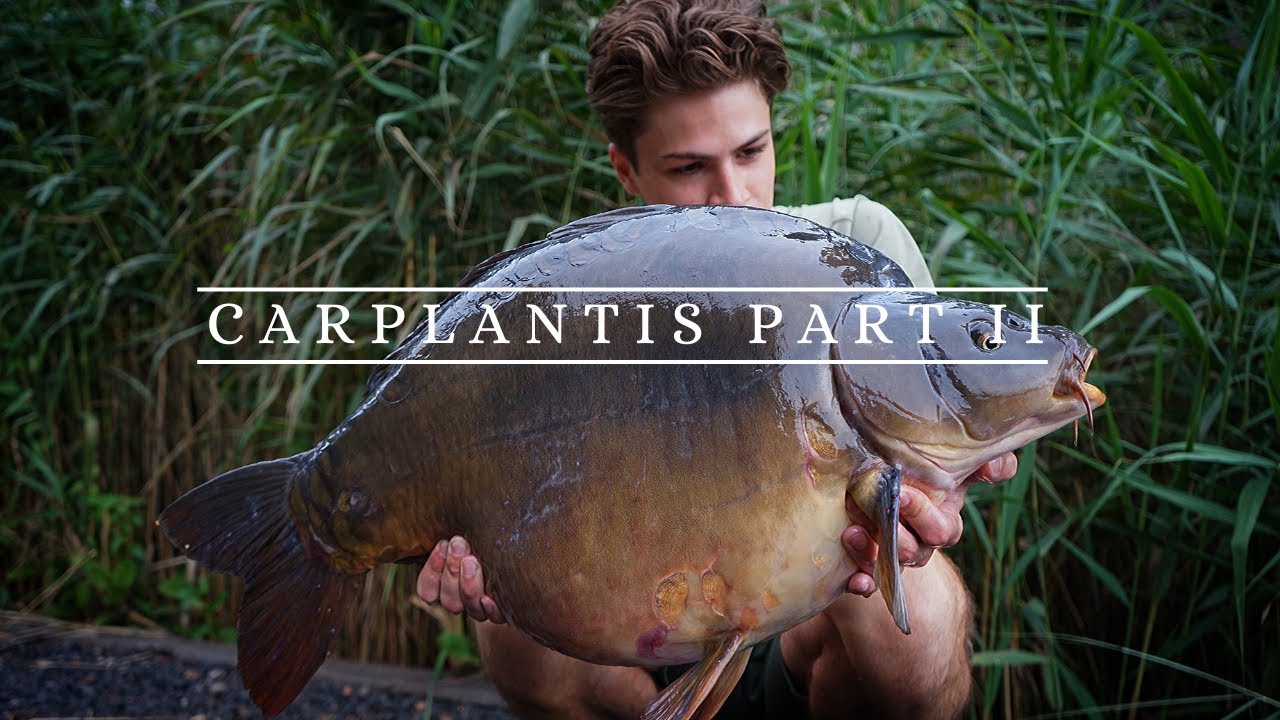 Karpervissen/Carpfishing - CARPLANTIS PART 2 - 4K