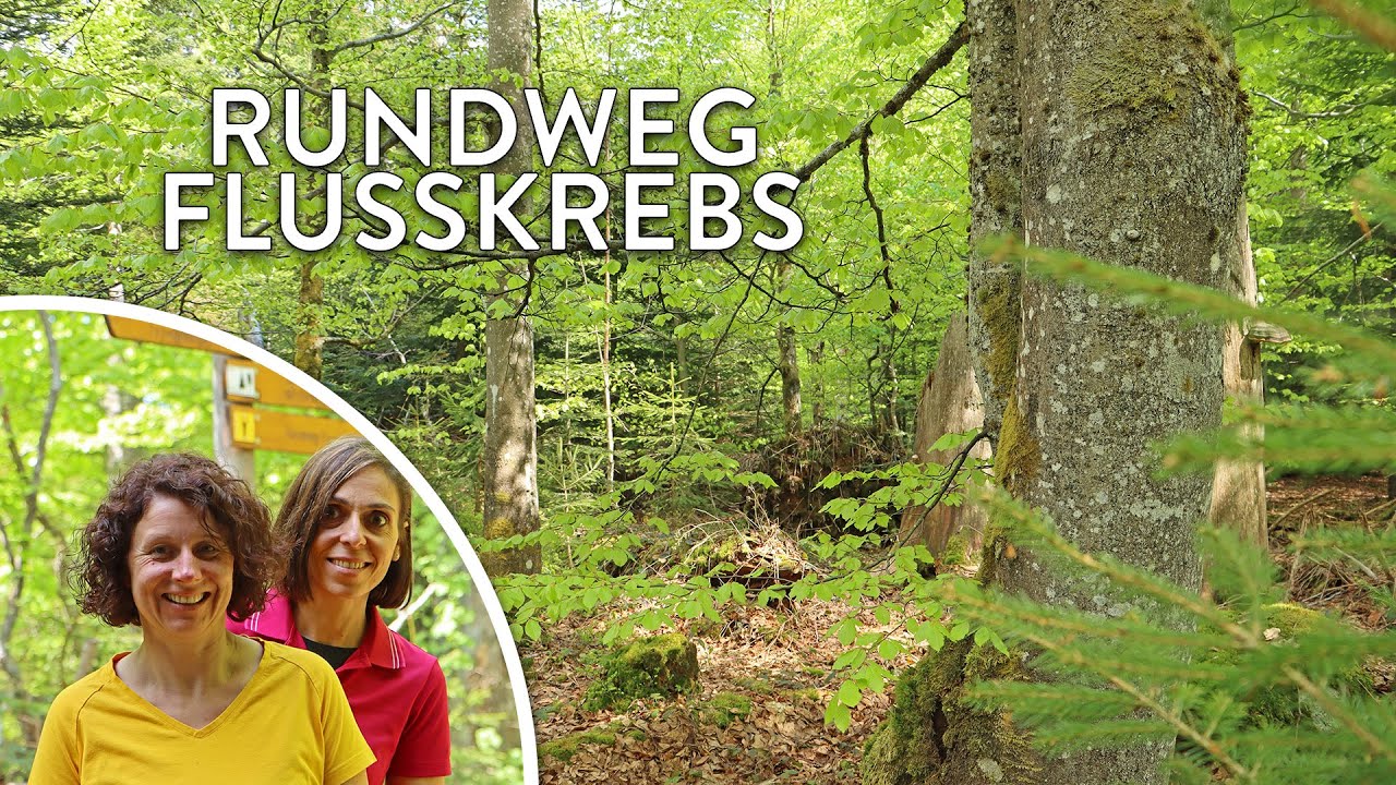 Unterwegs am Rundweg Flusskrebs - Touren-Tipp im Nationalpark Bayerischer Wald