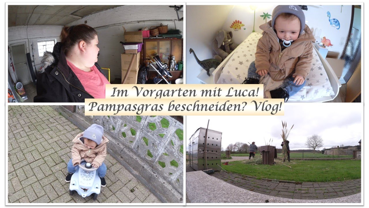 Pampasgras beschneiden! || Im Vorgarten mit Luca! || Reborn Baby Deutsch || Little Reborn Nursery