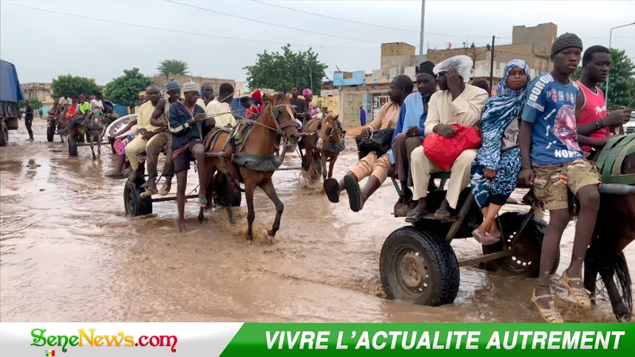 Fortes pluies à Touba : Les pèlerins se déplacent difficilement entre Ocass et 28