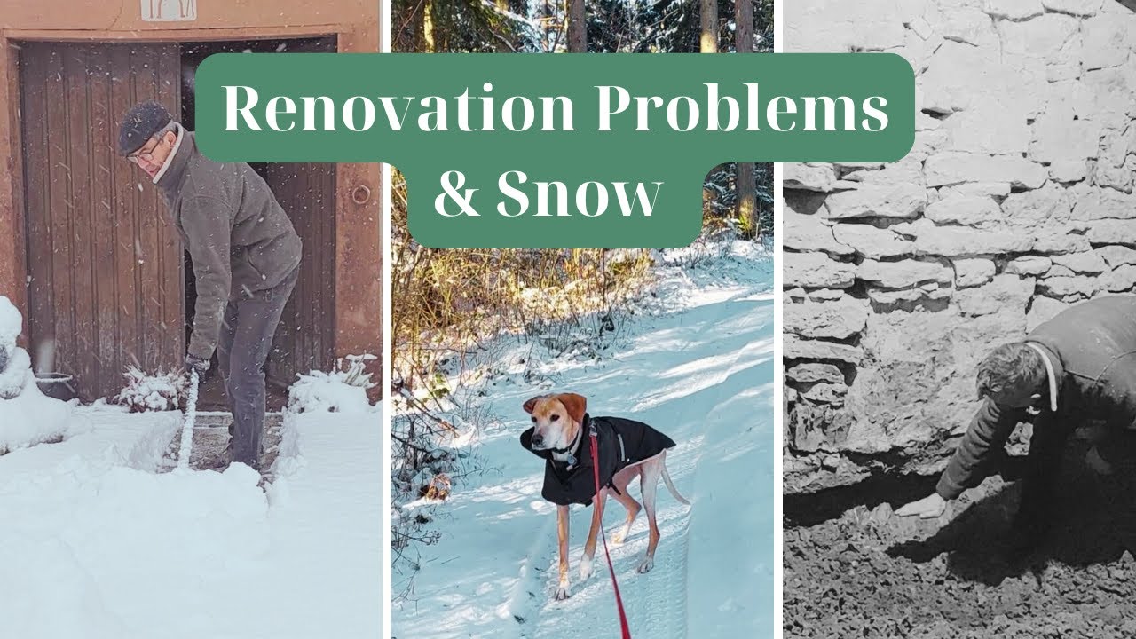 Renovation Problems, Tree Comes Down & Snow in the Black Forest