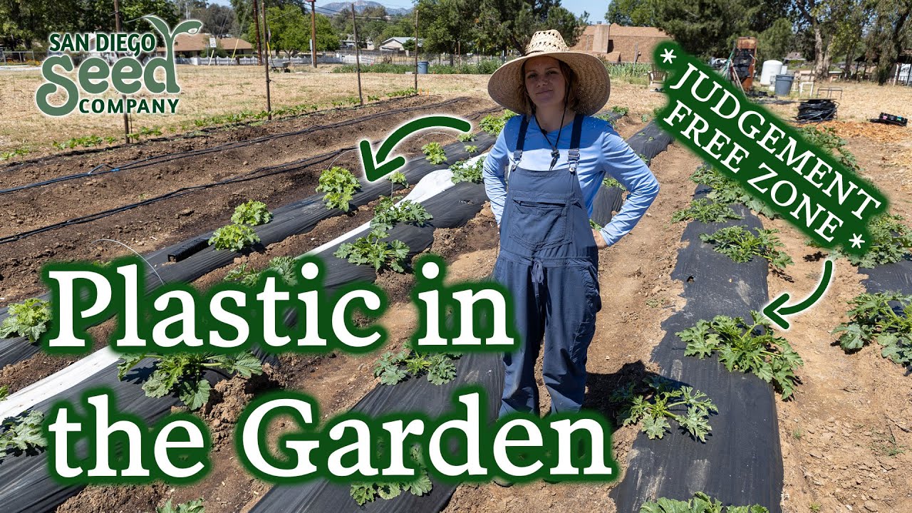 Pros & Cons of Using Black Plastic in Your Garden & Why We Are Using It