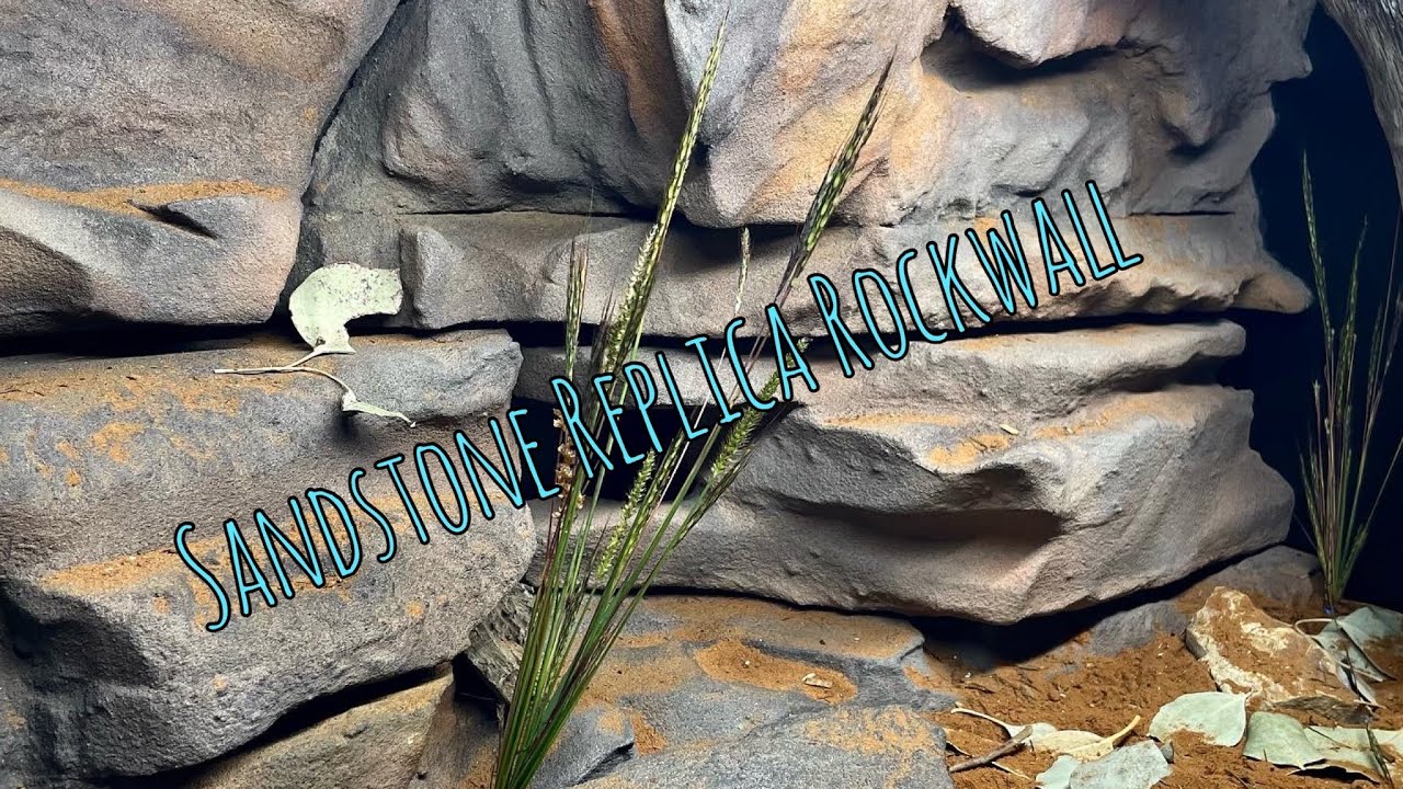 How to Build Naturalistic Enclosure for Childrens Python