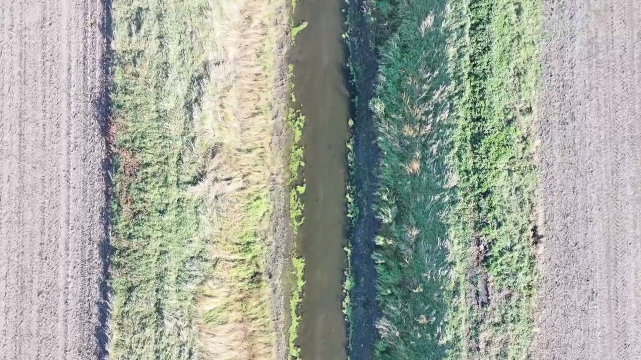 Yellow Medicine River WD ditch 16