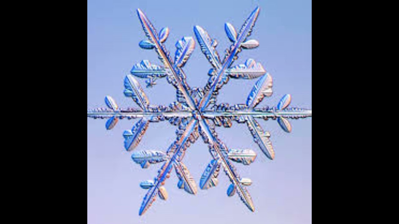 SnowFlakes, Thats cute, Full Morning show, S2 EP 83