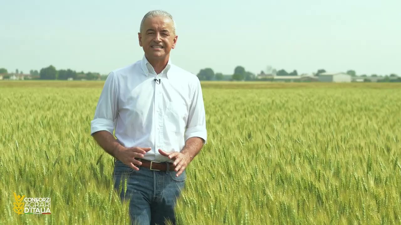 #caiconsiglia | Grano tenero - ACA 360