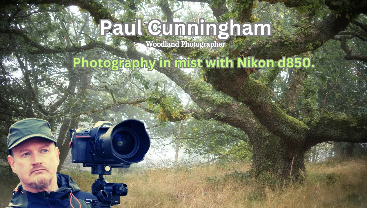 I'm using my Nikon D850 camera to capture misty scenes.