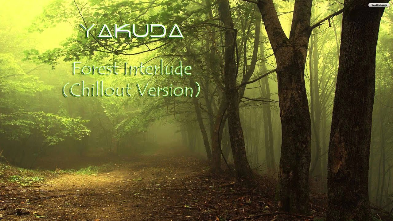 Yakuda - Forest Interlude (Chillout Version) / Donkey kong Country 2 Cover