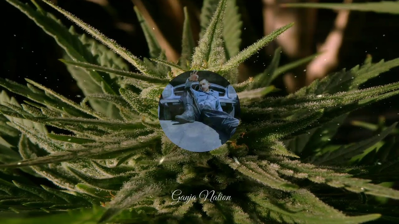 SACAR aka Lil Buddha - Ganja Nation ( Prod. @BeatsByHype )