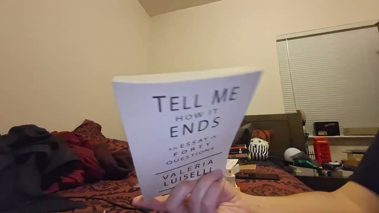 December books and a Christmas book haul