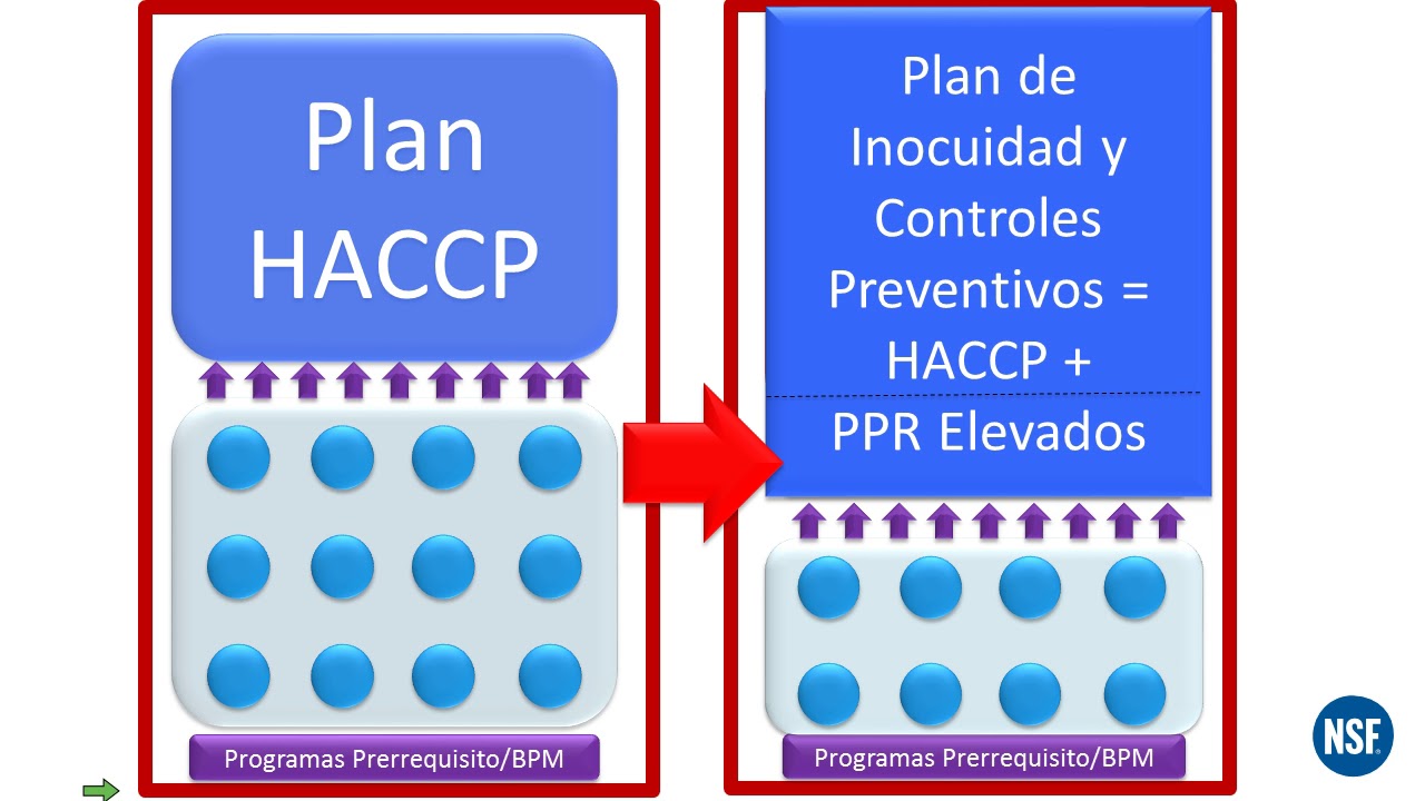 Webinar: FSMA: Implementando Controles Preventivos | NSF International