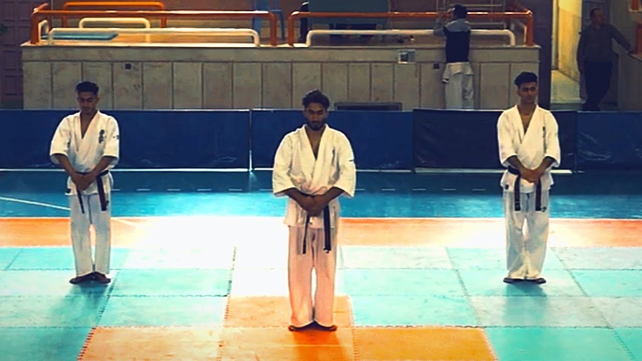 🚩🥋KATA SUSHIHO & BUNKAI KYOKUSHIN KARATE🚩🥋