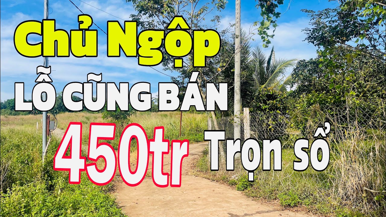 1.000m2, lộ bê tông, chủ ngộp giảm giá bán gấp, để trả nợ, xuân tây cẩm mỹ