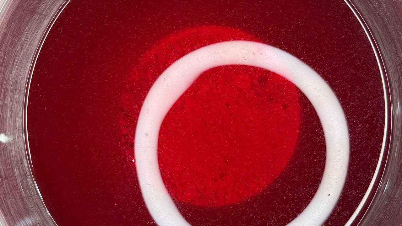 ASMR | Jumbos over Red water 