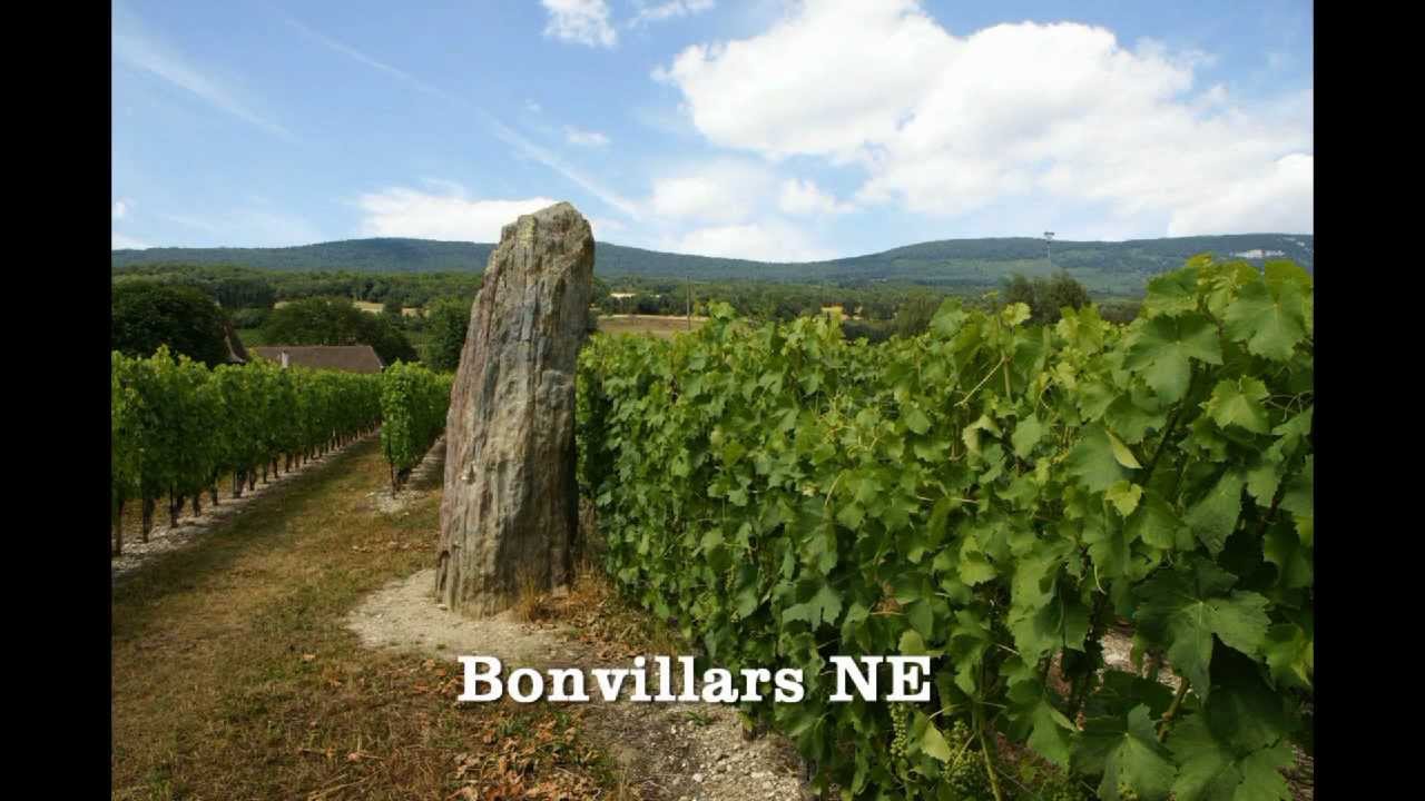 Menhire und Steinkreise in der Schweiz