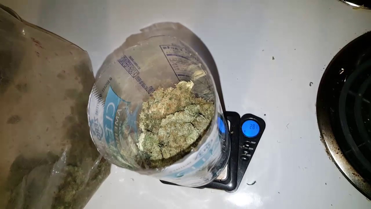 Dry Weight Auto Ultimate under Perfect Sun MINI