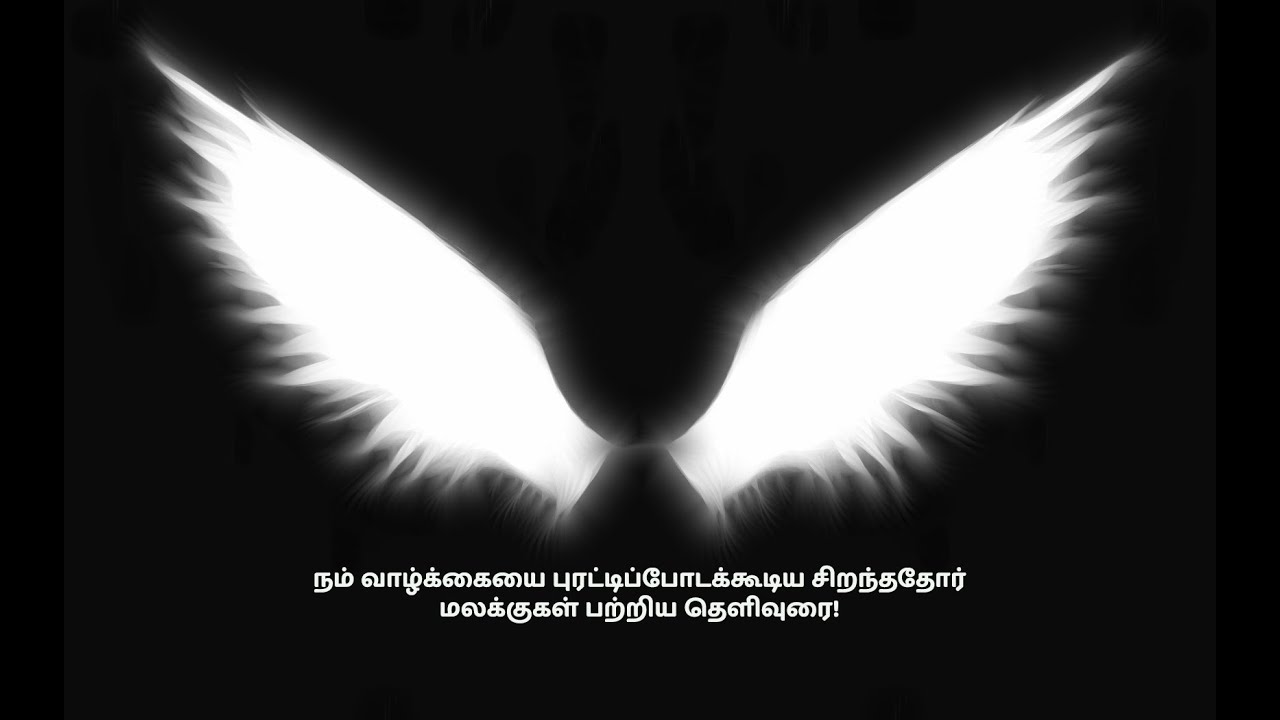 மலக்குல் மௌத் இஸ்ராயீல் அலைஹிஸ்ஸலாம் பற்றிய நம் வாழ்க்கையை புரட்டிப்போடக்கூடிய சிறந்ததோர் தெளிவுரை!
