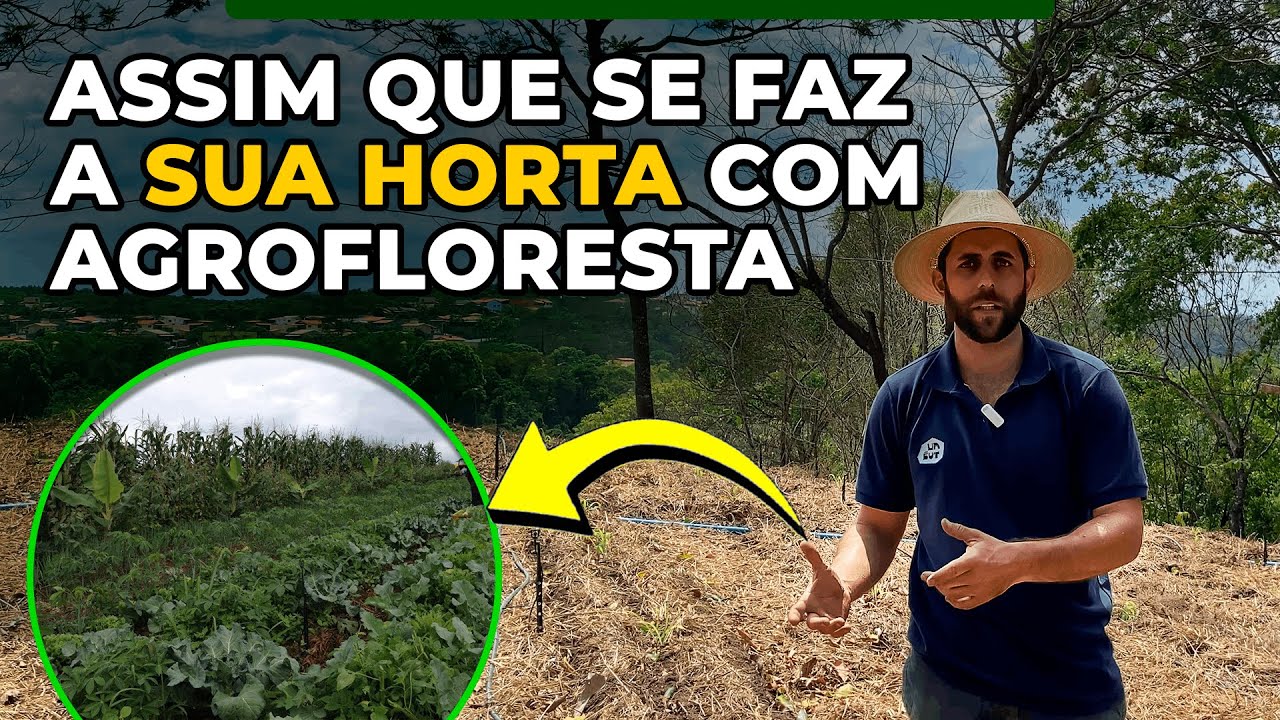 Passo a passo para criar um sistema de produção de hortaliças com agrofloresta I Episódio 1