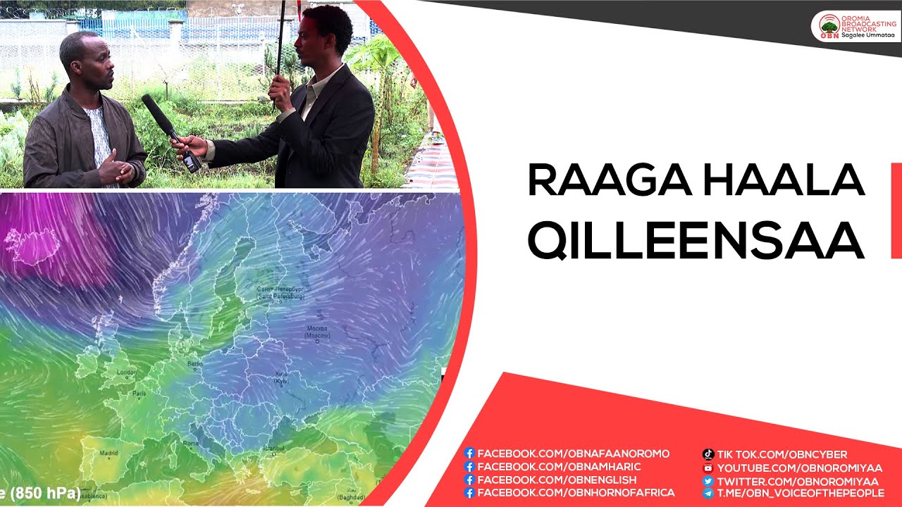Raaga  Haala  Qilleensaa