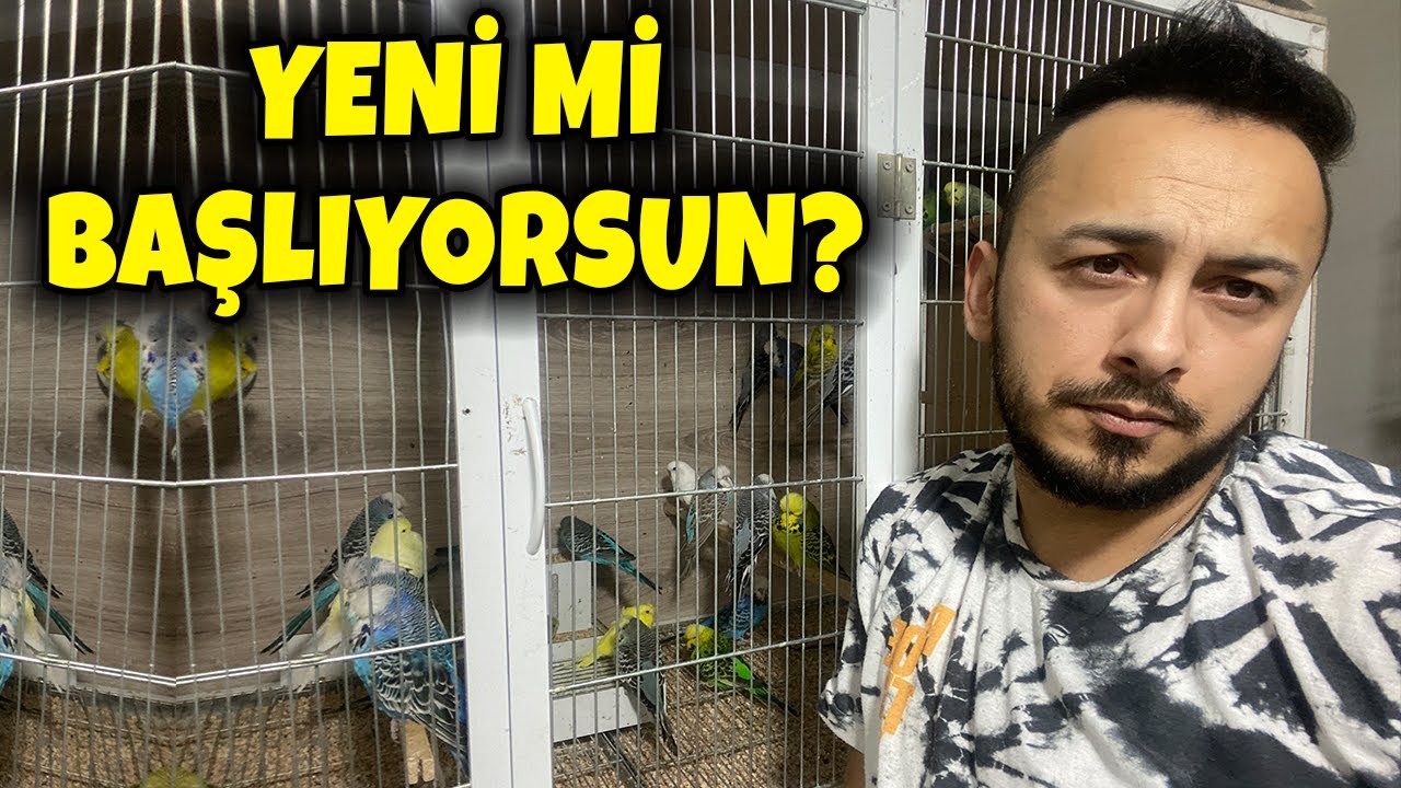 ÜRETİME YENİ BAŞLAYACAKLAR İÇİN ALTIN BİLGİLER #muhabbetkuşu