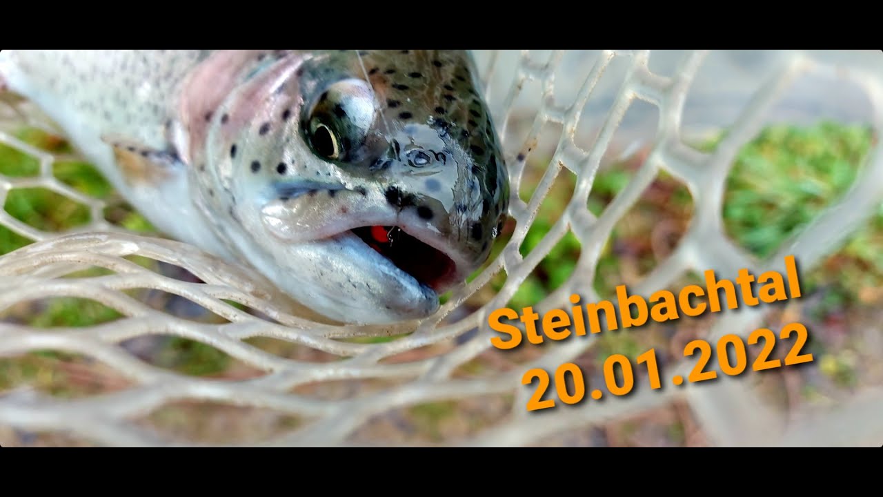 Steinbachtal 20.01.2022 Ловля форели на платном озере в Германии.
