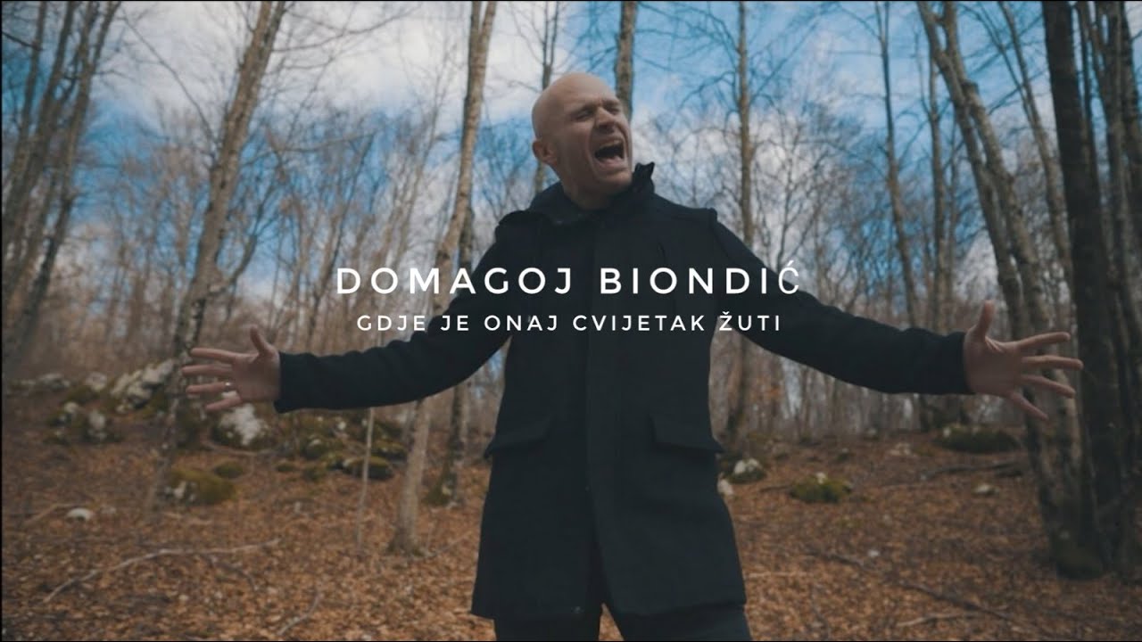 Gdje je onaj cvijetak žuti - cover by Domagoj Biondić