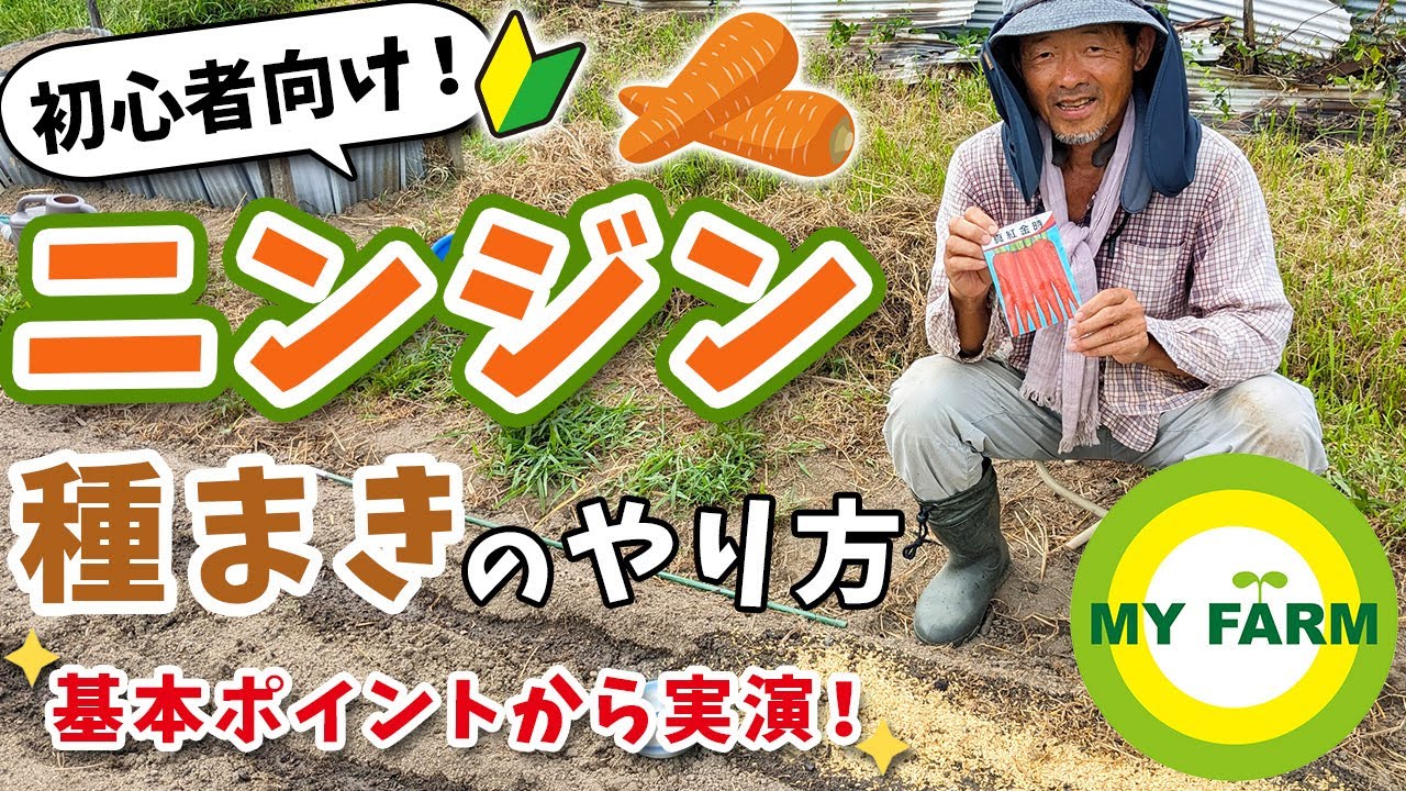 【ニンジン栽培】種まきのやり方を初心者の方向けに解説＆実演します│有機栽培で野菜づくり