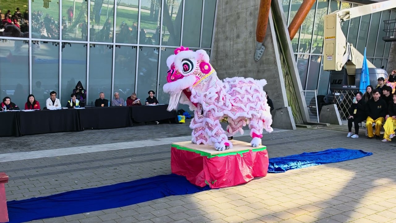 White Pink Lion Dance