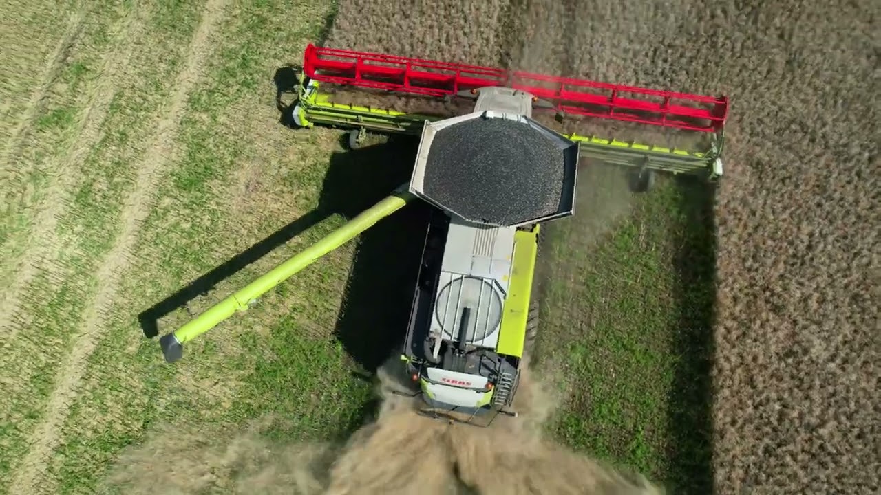 Ende der Rapsernte 2024 mit Claas Lexion 8900 und Fendt 728 und 936