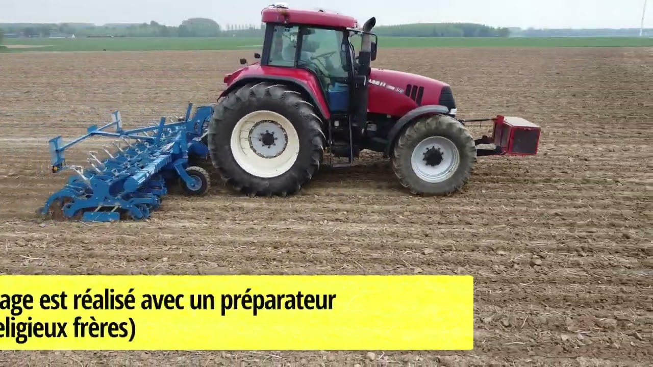 Semis de betterave en strip till - 2024