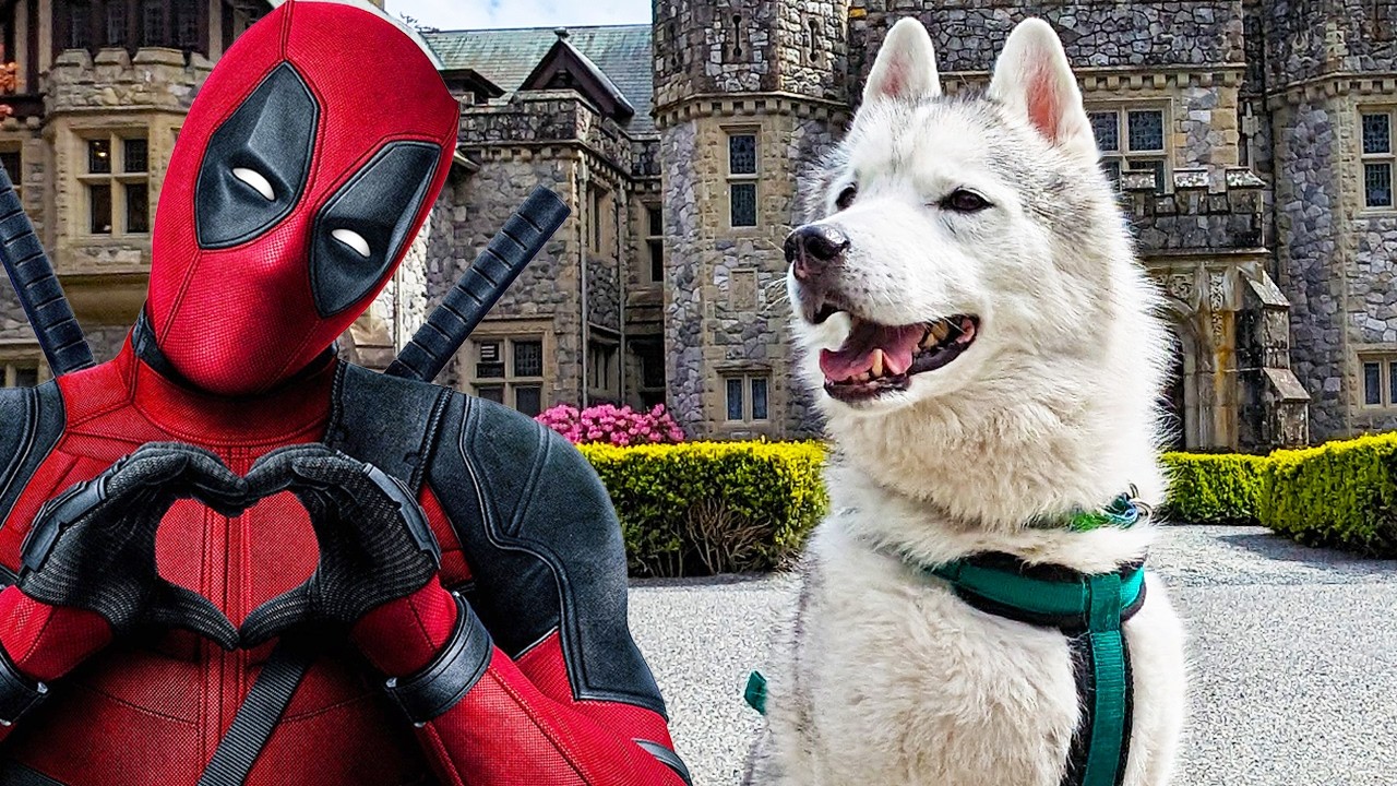 My Husky Visits Hatley Castle! Did we see Deadpool?
