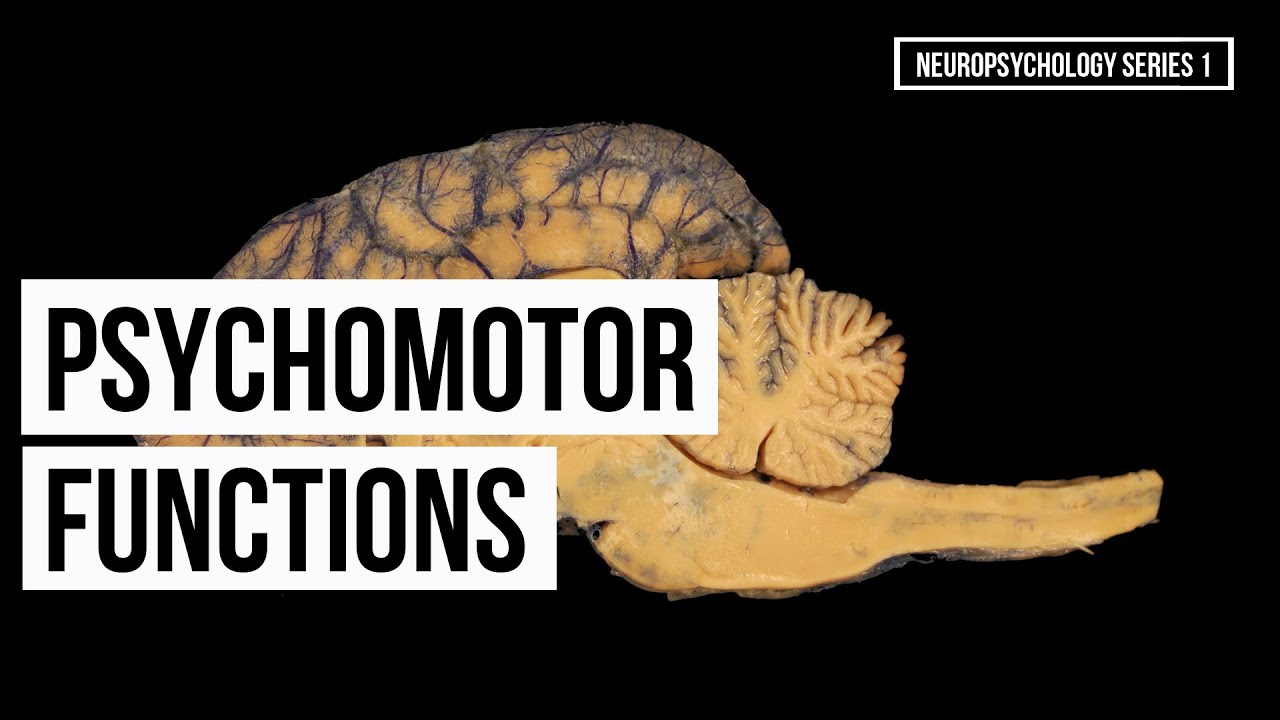 Psychomotor Functions (Series 1)