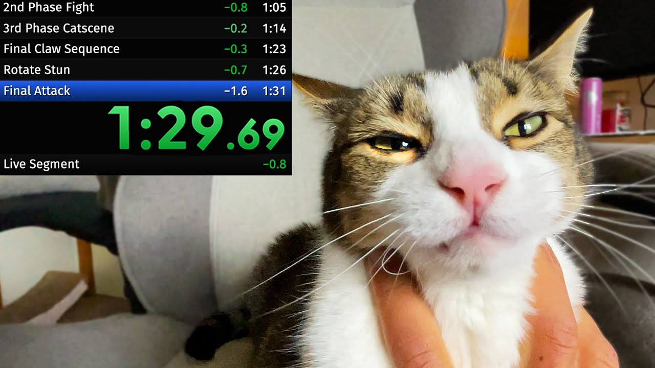 annoying my cat until he gives up the chair speedrun no damage 100% (WR)