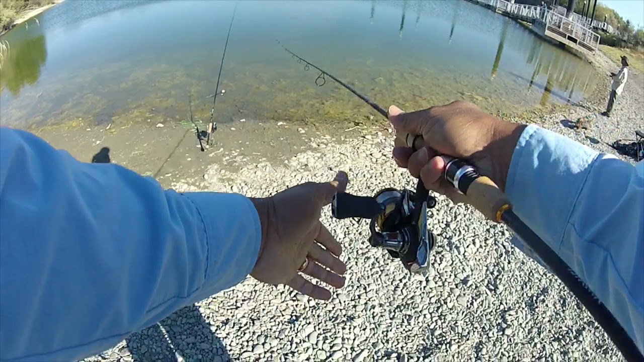AGGRESSIVE Lassen Trout SMASHES Minijig | Quarry Lakes