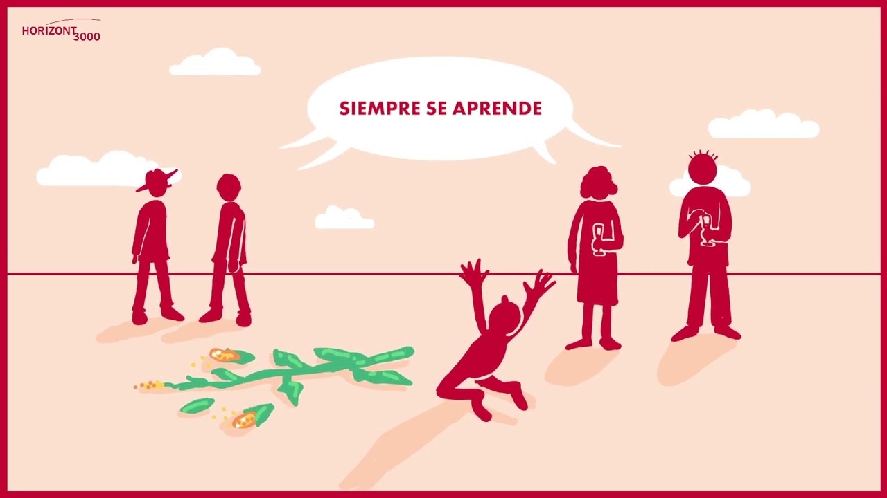 La Sistematización de Experiencias