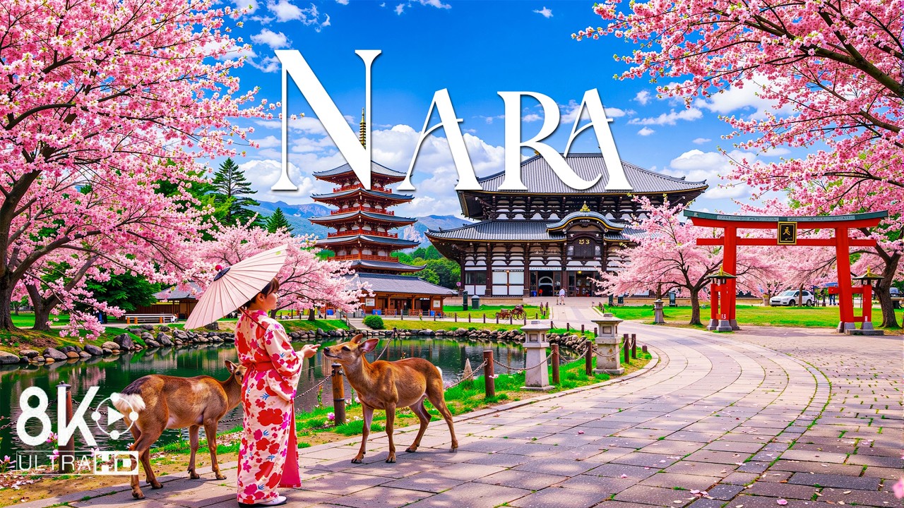 Весна в Наре, Япония, 8K 🌸🦌 | Откройте для себя цветение сакуры и священные храмы