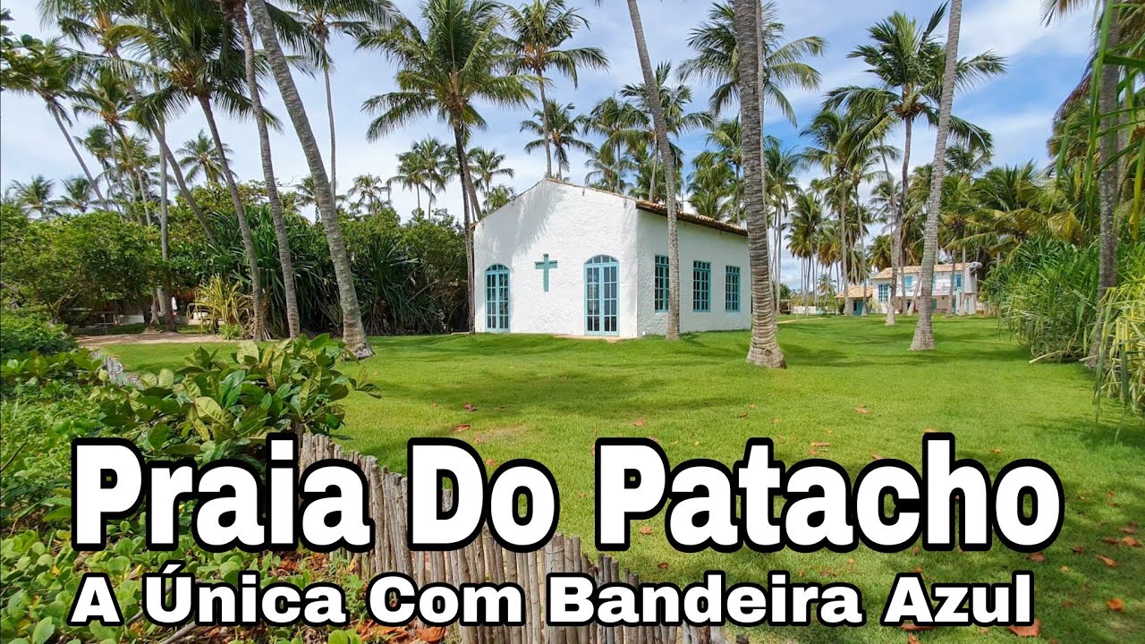 Praia Do Patacho Alagoas