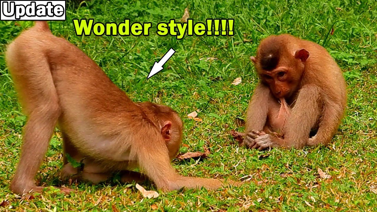 Rojo, What are you doing? Sister very wonder about baby Rojo action