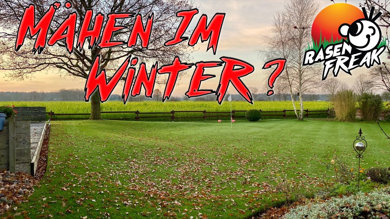 SCHNEESCHIMMEL und MÄHEN im Winter - noch ein letztes Mal Mähen beim RASENFREAK in Jahr 2020?