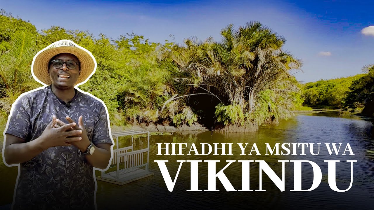 HIFADHI YA MSITU WA VIKINDU || VIKINDU FOREST RESERVE - PWANI TANZANIA