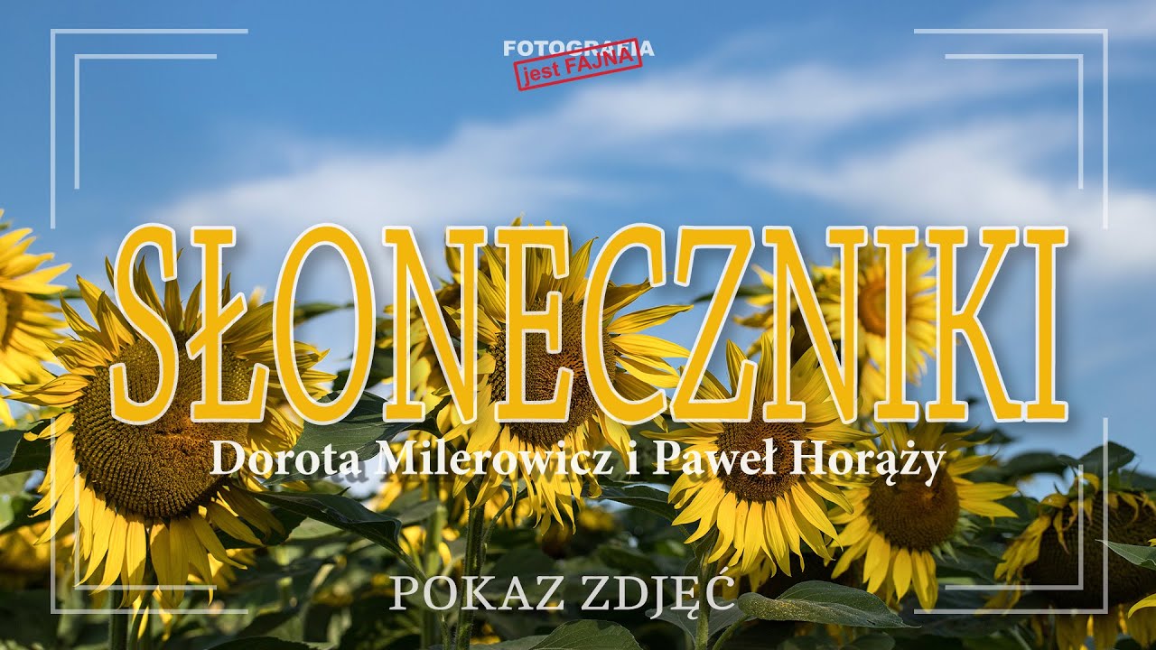 🟢 Pokaz zdjęć - SŁONECZNIKI - Dorota Milerowicz i Paweł Horąży - Fotografia jest Fajna