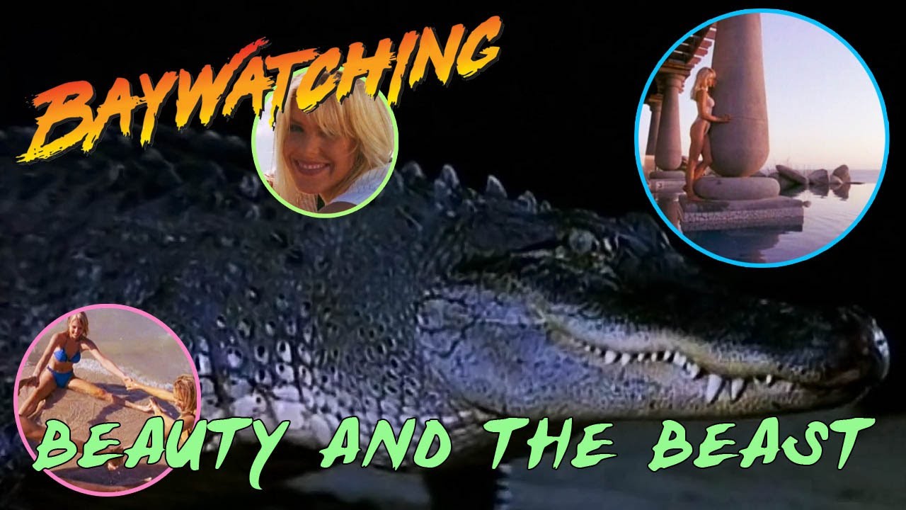 Baywatching: Beauty and the Beast