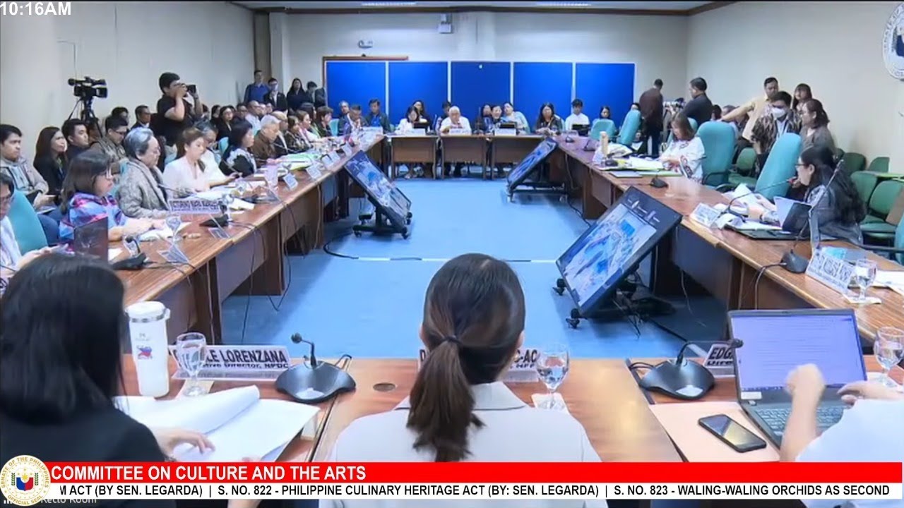 Senate hearing on Culture and the Arts (February 4, 2026)