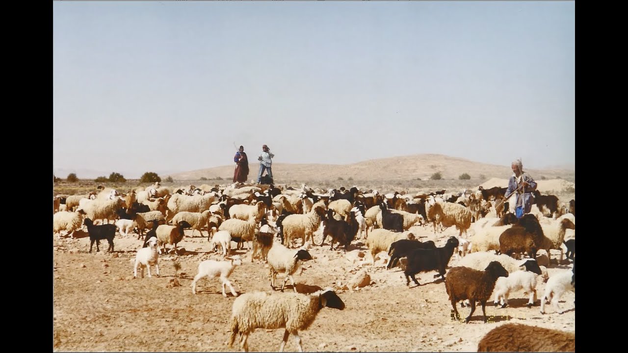 You reap what you sow: A short story from Ath Maẓrət (Tamezret, Tunisia)