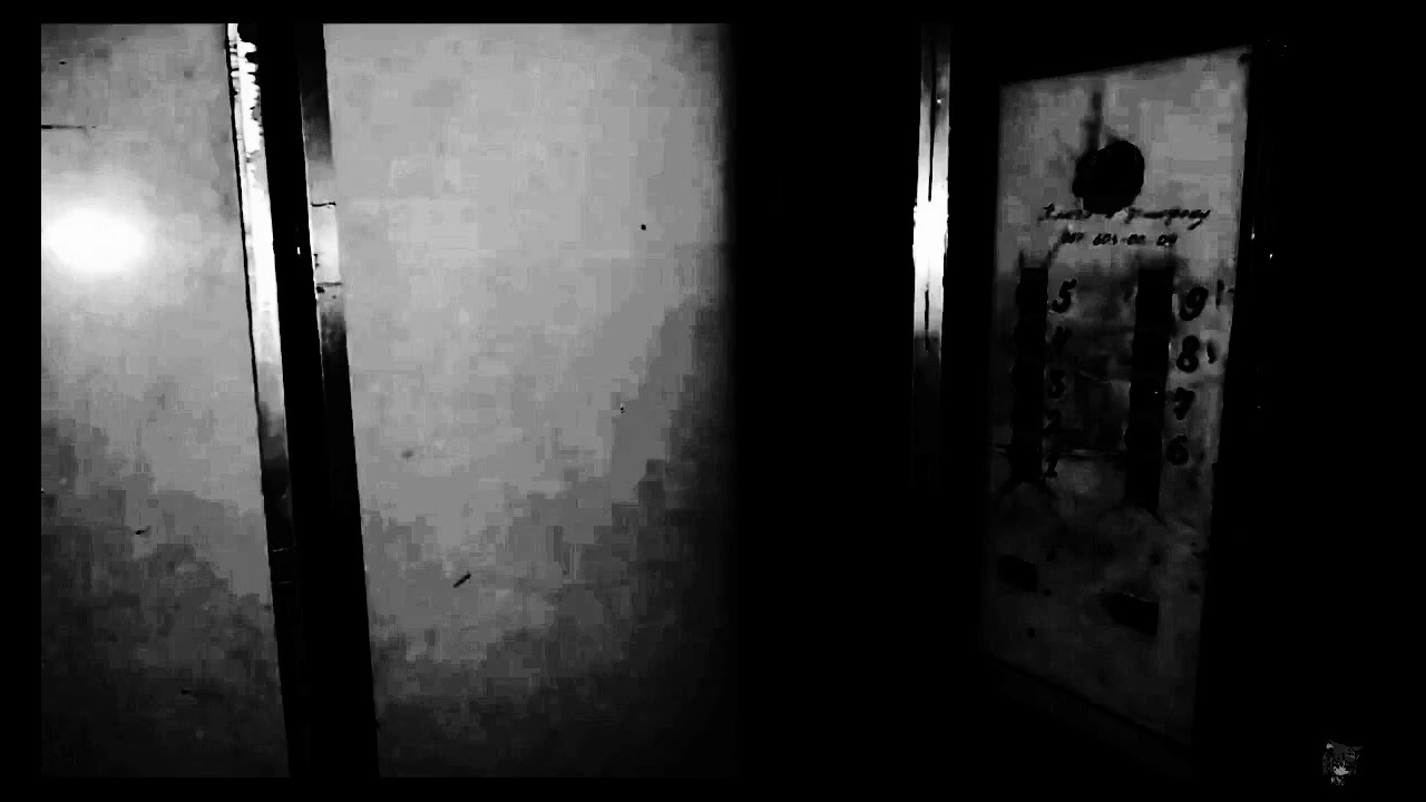 The elevator lift was extremely darkest light b&w, and the lowlight ride is really funny and nice.  