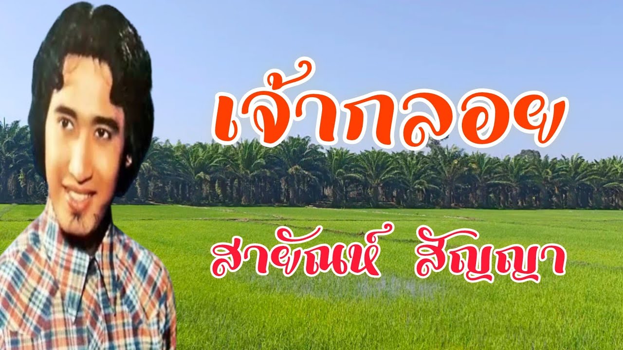 🌳เจ้ากลอย🌳สายัณห์ สัญญา🌼@wawapafinjp 