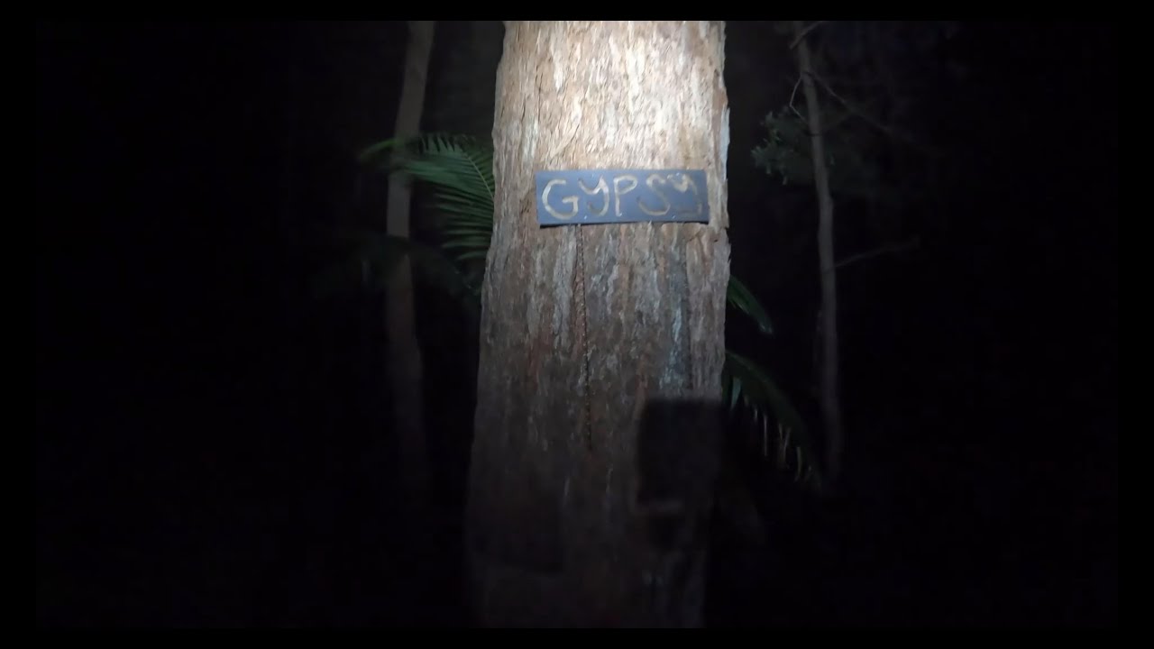 Gypsy trail by night 17122025