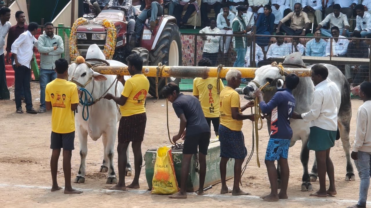మేళ్లచెరువు సీనియర్స్ 2 వ జత PVSR BULLS